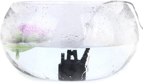 AGPTEK 400mLH Mini Mist Maker for Pond and Garden