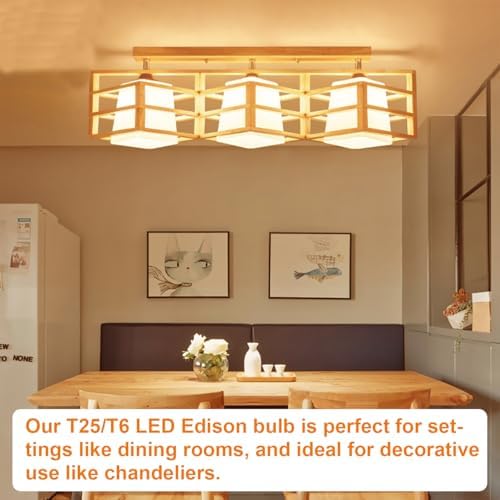 Vinaco T25 LED Bulb 4 Pack Dimmable Warm White 2700K