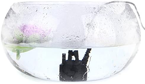 AGPTEK Pond Fogger with 300mLH Mist Output