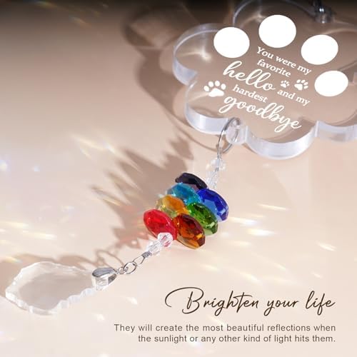 Pet Loss Sympathy Suncatcher with Paw Design