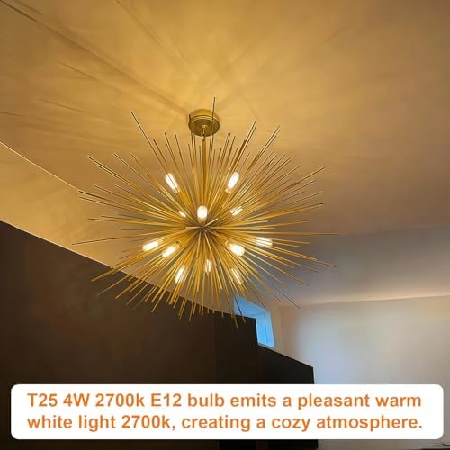 Vinaco T25 LED Bulb 4 Pack Dimmable Warm White 2700K