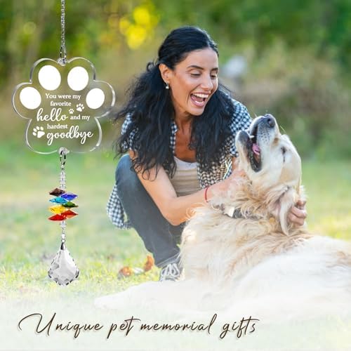 Pet Loss Sympathy Suncatcher with Paw Design