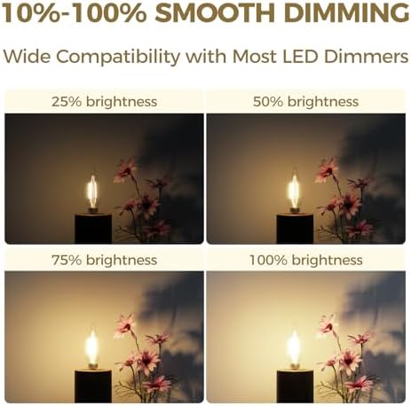 Hizashi E12 Candelabra LED Bulbs 12 Pack