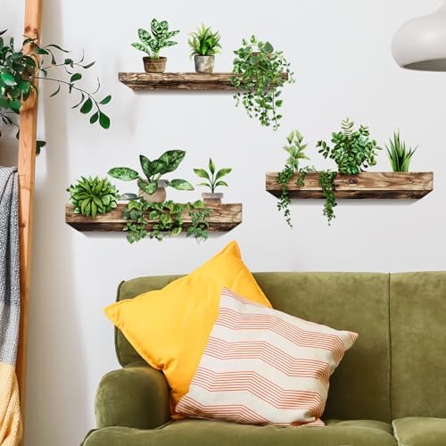 Green Plant Wall Decals 3D Bonsai Tropical Design