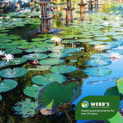 Webbs Water Gardens Defoamer Concentrate 16 Ounces