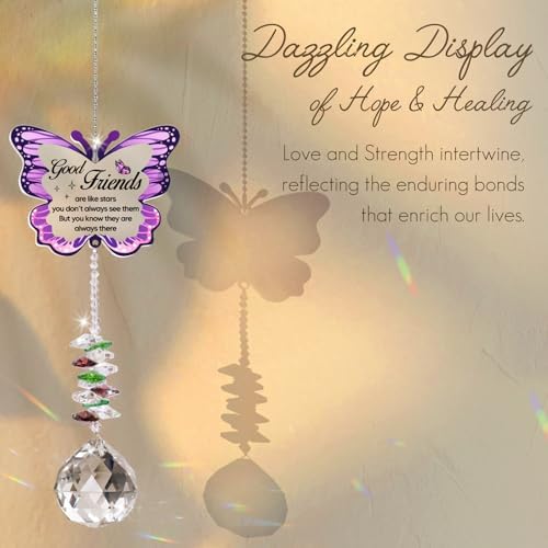 Butterfly Crystal Ball Sun Catcher for Best Friend Gifts