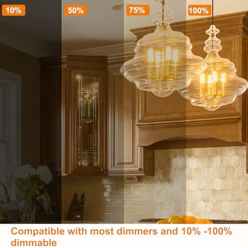 Vinaco T25 LED Bulb 4 Pack Dimmable Warm White 2700K