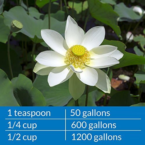 API PONDCARE MICROBIAL ALGAE CLEAN 64-Ounce Bottle