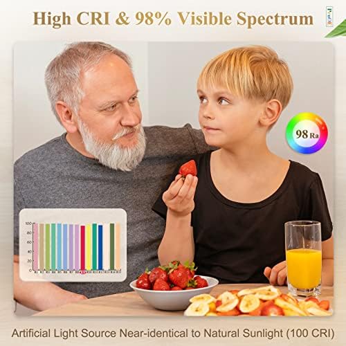 DiCUNO ProOE E26 LED Bulb 5W Warm White 3000K 2 Pack