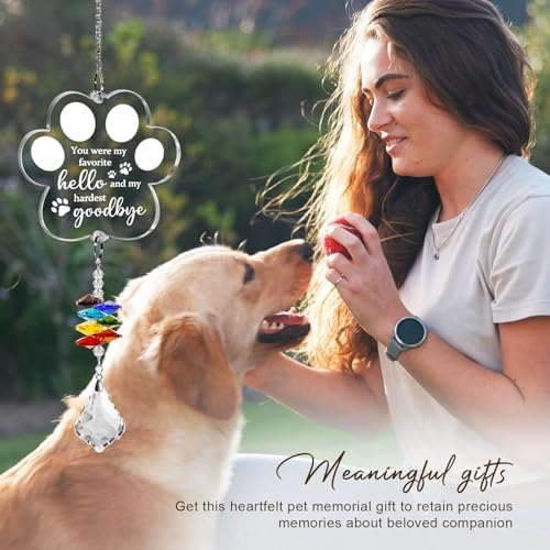 Pet Loss Sympathy Suncatcher with Paw Design
