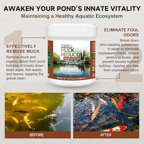 Dr Raifyas Muck Reducer - 1 LB Natural Pond Clarifier