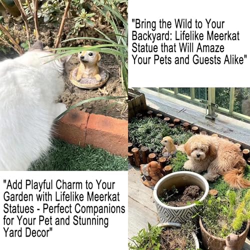 WTREEW Meerkat Garden Statue - Playful Outdoor Decor